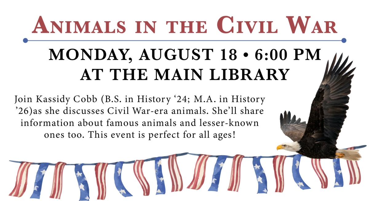 Animals in the Civil War